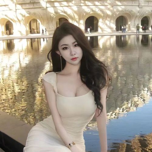 新人多肉。会好的