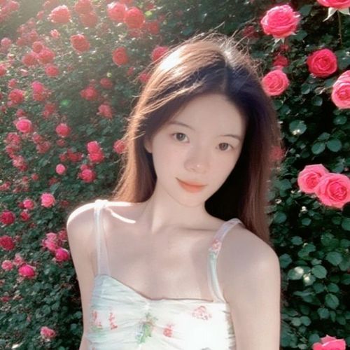 小鲨鱼(๑><๑）的美女聊天室