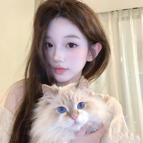 猫猫kitty