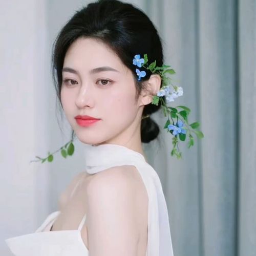 仟羽洛桐