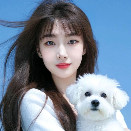 芊意～♥努力升级