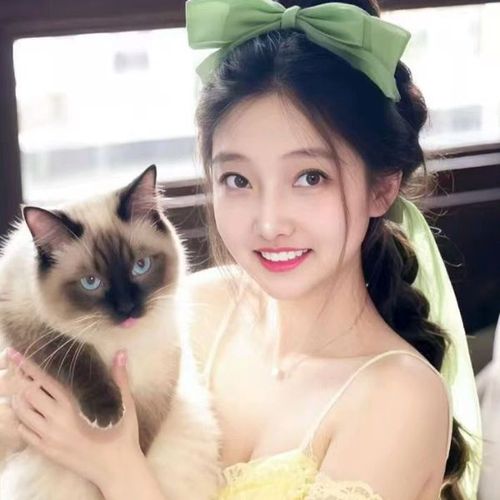 夏黎～战为六恒*