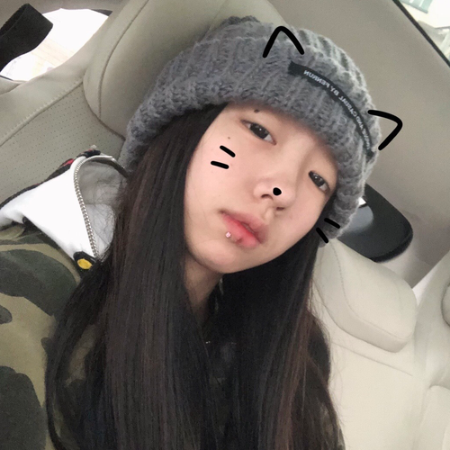 叮猫-叮叮猫（狮子座♌️流星雨）