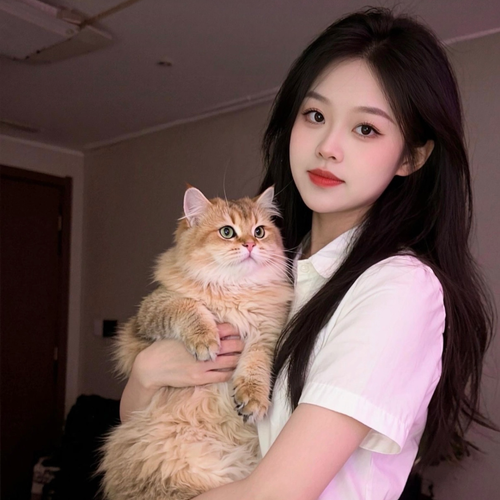 粘豆包-的美女聊天室