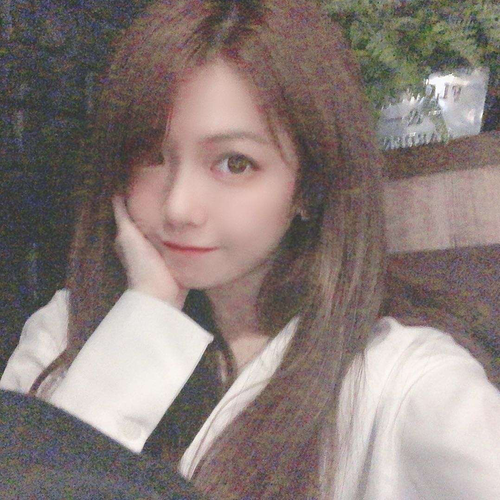 少女阿狸。的美女聊天室