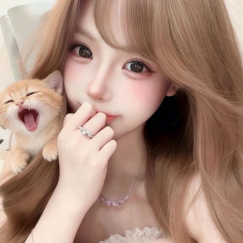 小木木略略略的美女聊天室