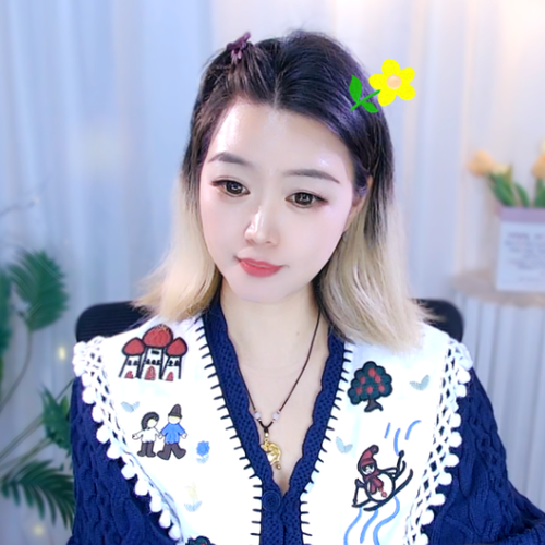 小甜饼的美女聊天室